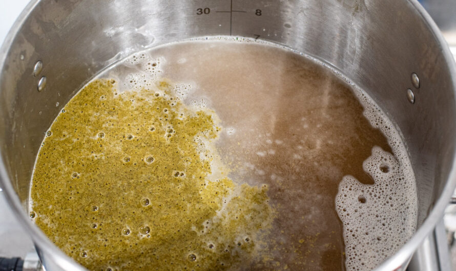 What is First Wort Hopping?